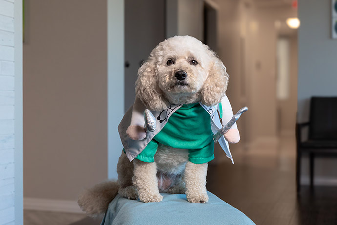 Keep Your Crew Smiling With Care From a Waukegan Family Dentist